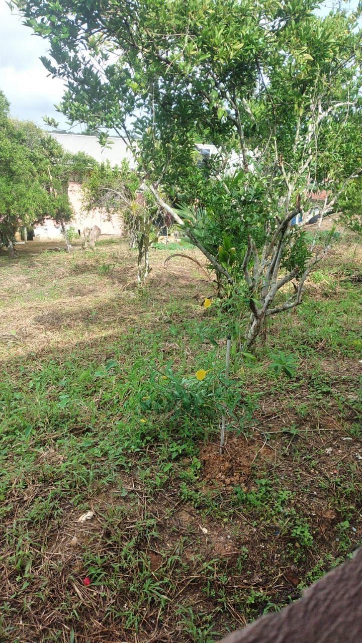 20650 sq ft Land for Sale in Cumuto — photo 2