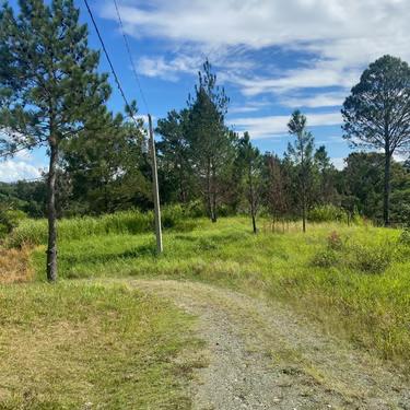 Terreno en Venta, Pedregal Jarabacoa - 1996 Metros — photo 2