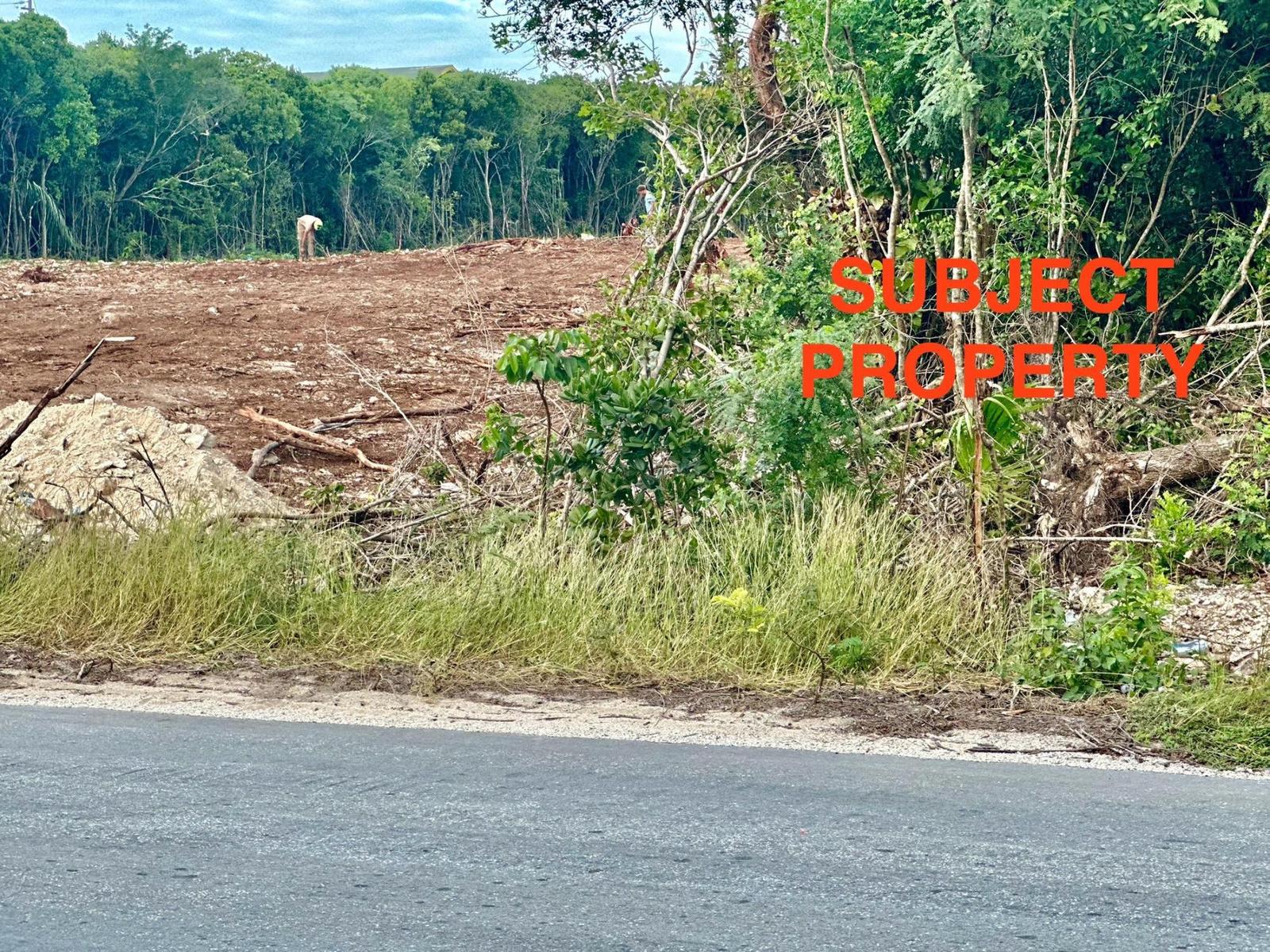 ELEUTHERA GOV HARBOUR LOT — photo 4