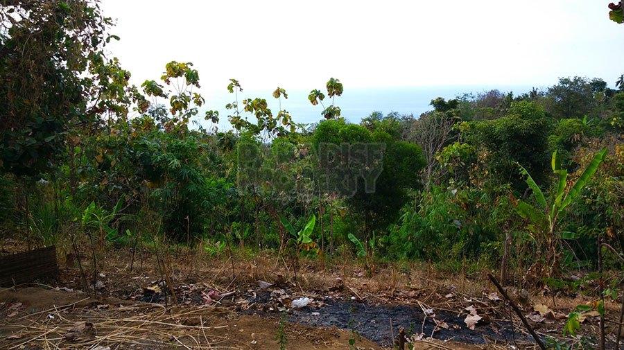 Amazing 49 Are Freehold Land with WOW View in Lovina — photo 5