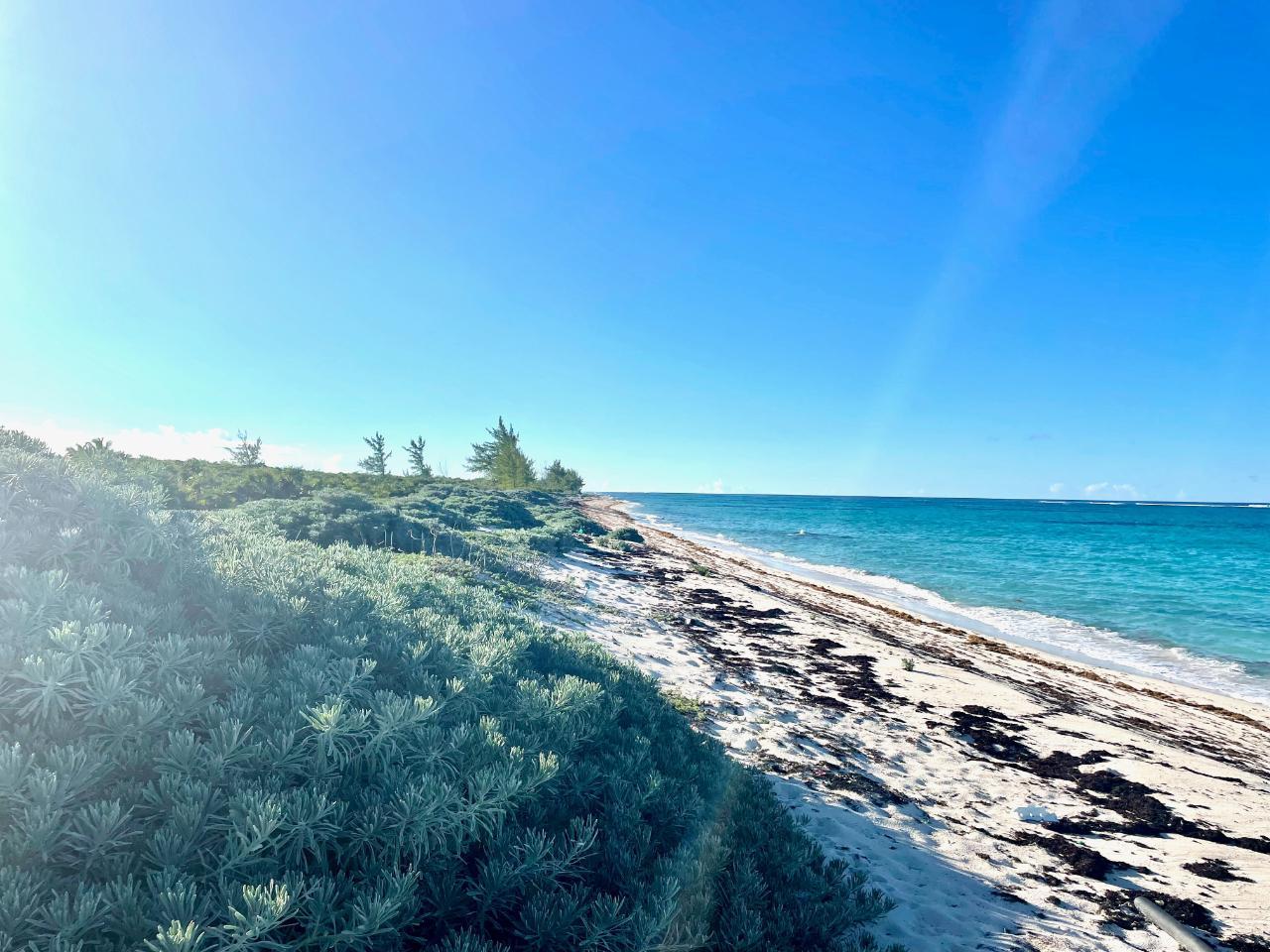 Camperdown Beachfront Lot — photo 1