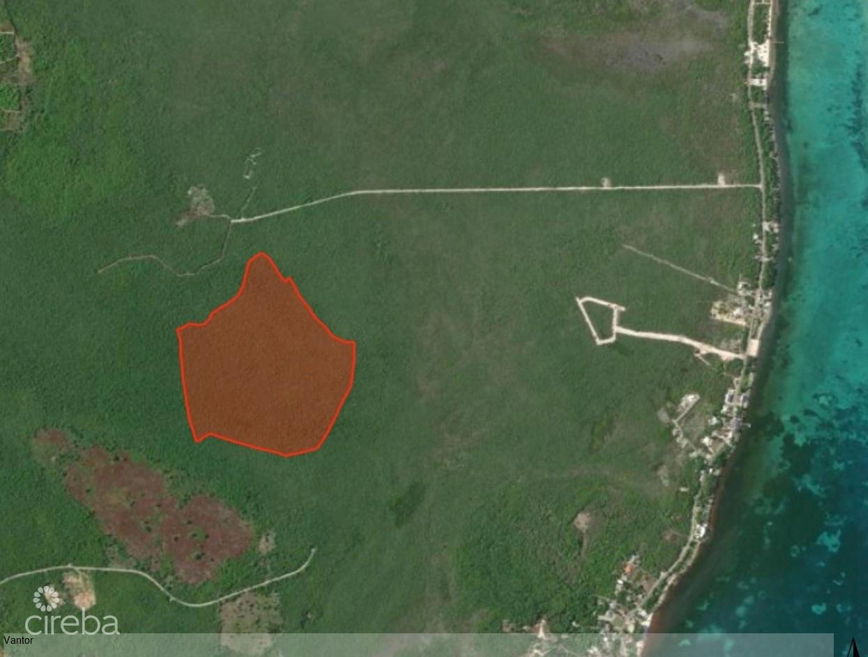 78 Acres - Colliers — photo 2