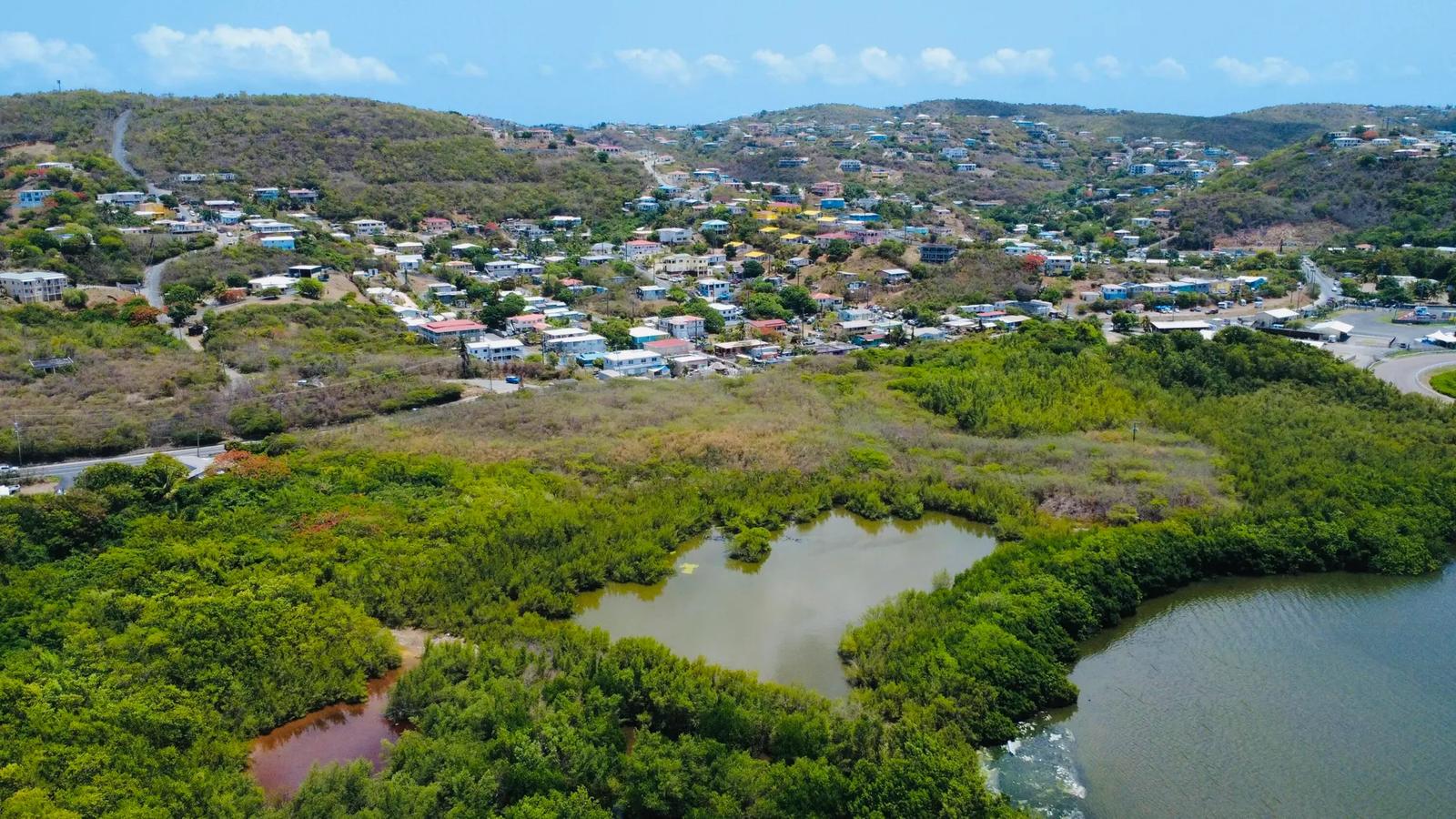 12.82 Acre Undeveloped Lot in St. Thomas — photo 5