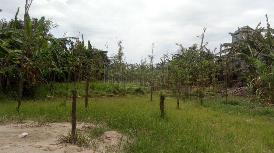 Freehold Land in Kedonganan, Jimbaran, Bali — photo 5