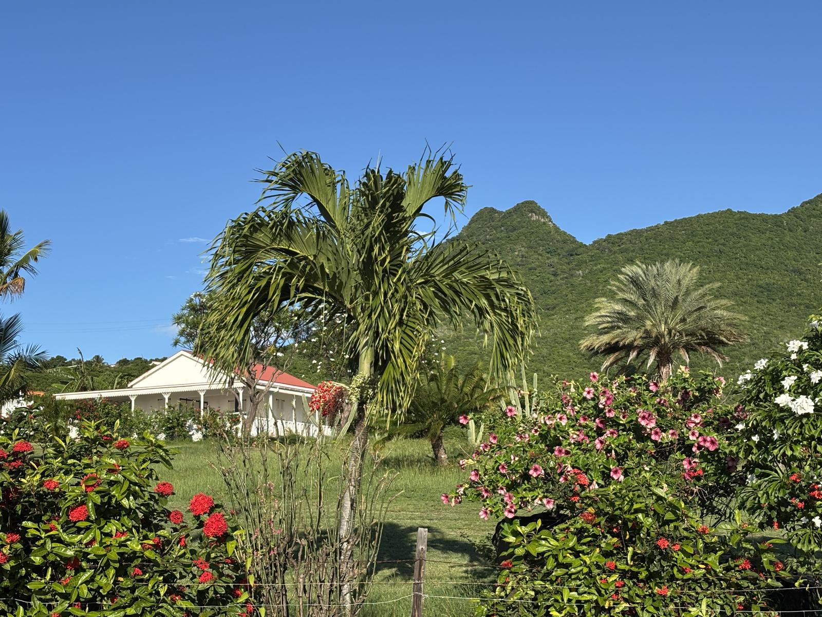 STATIA ISLAND Country House Union White Wall Road Sint Eustatius — photo 1