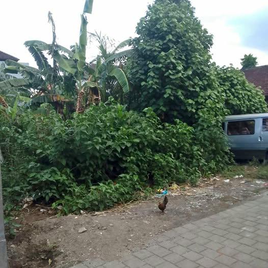Land for sale in Denpasar — photo 1