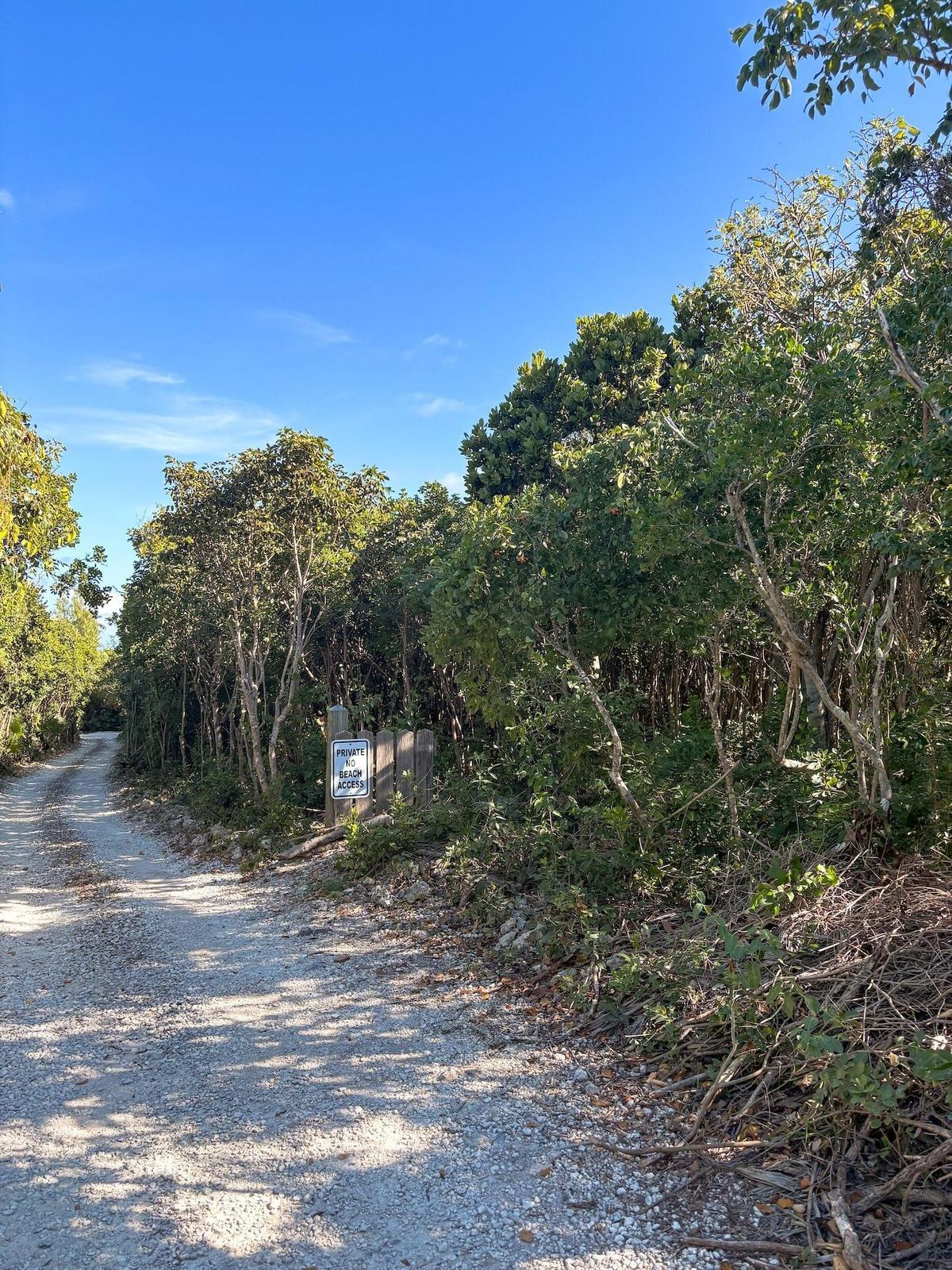 MAN O WAR CAY — photo 4
