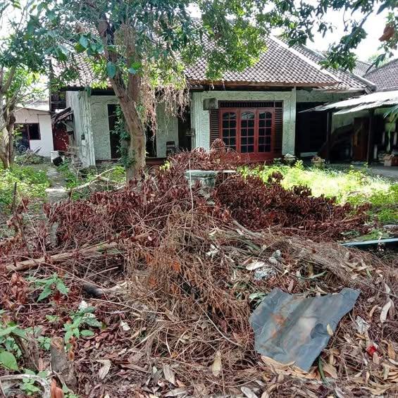 Studio house in Denpasar — photo 1