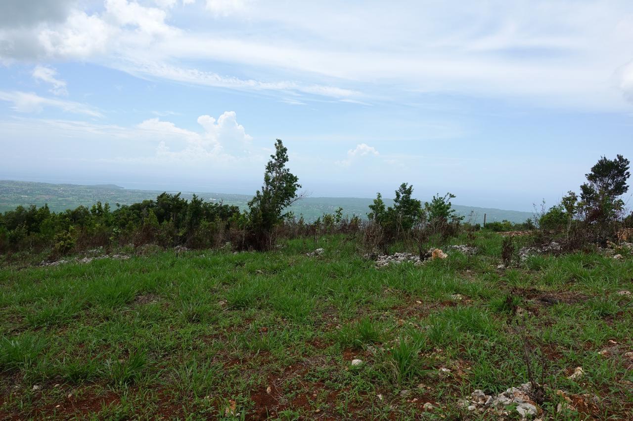 Malvern Pen Land For Sale — photo 2