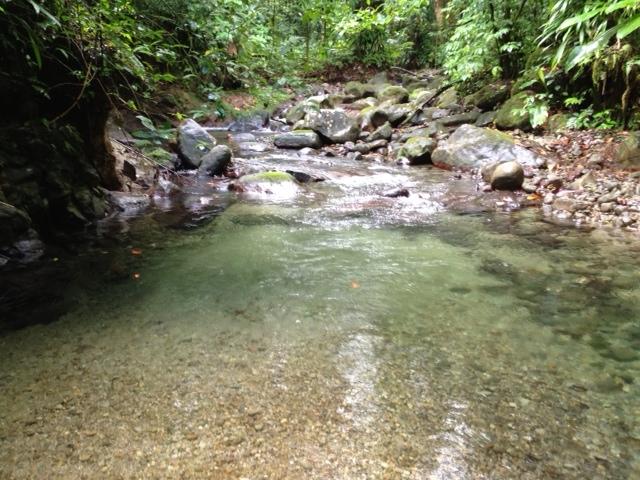 35 Acres of Land for Sale, Dominica — photo 2