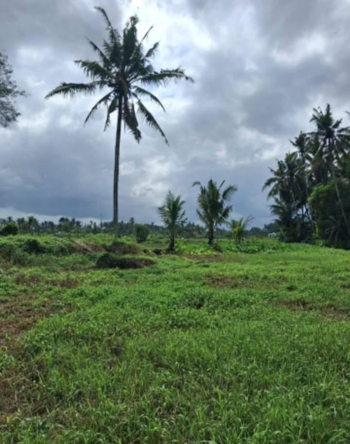 Amazing leasehold land in Mas, Ubud with jungle and river views — photo 1