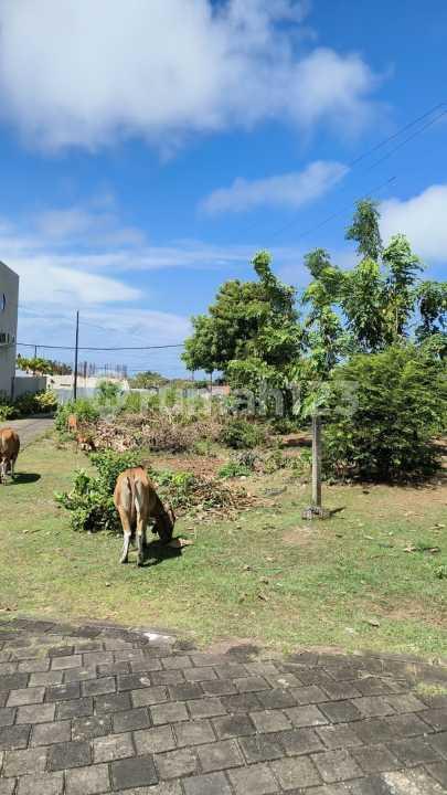 Ready-to-Build Land in Premium Location Ungasan — photo 5
