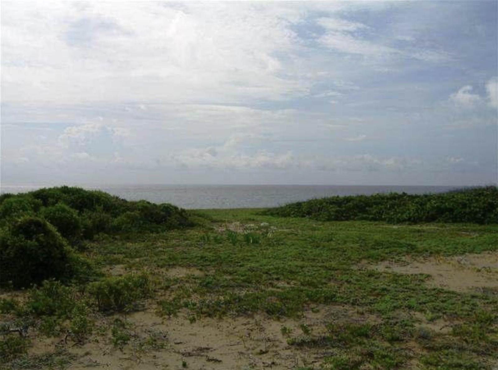 TILLOO CAY SEA TO SEA — photo 5