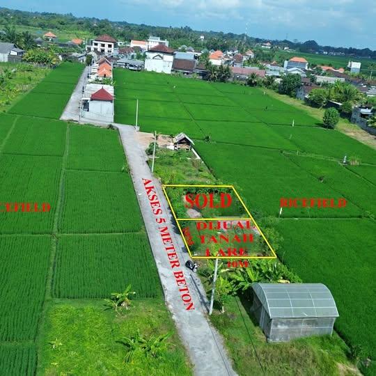 Land for sale in Tabanan — photo 1