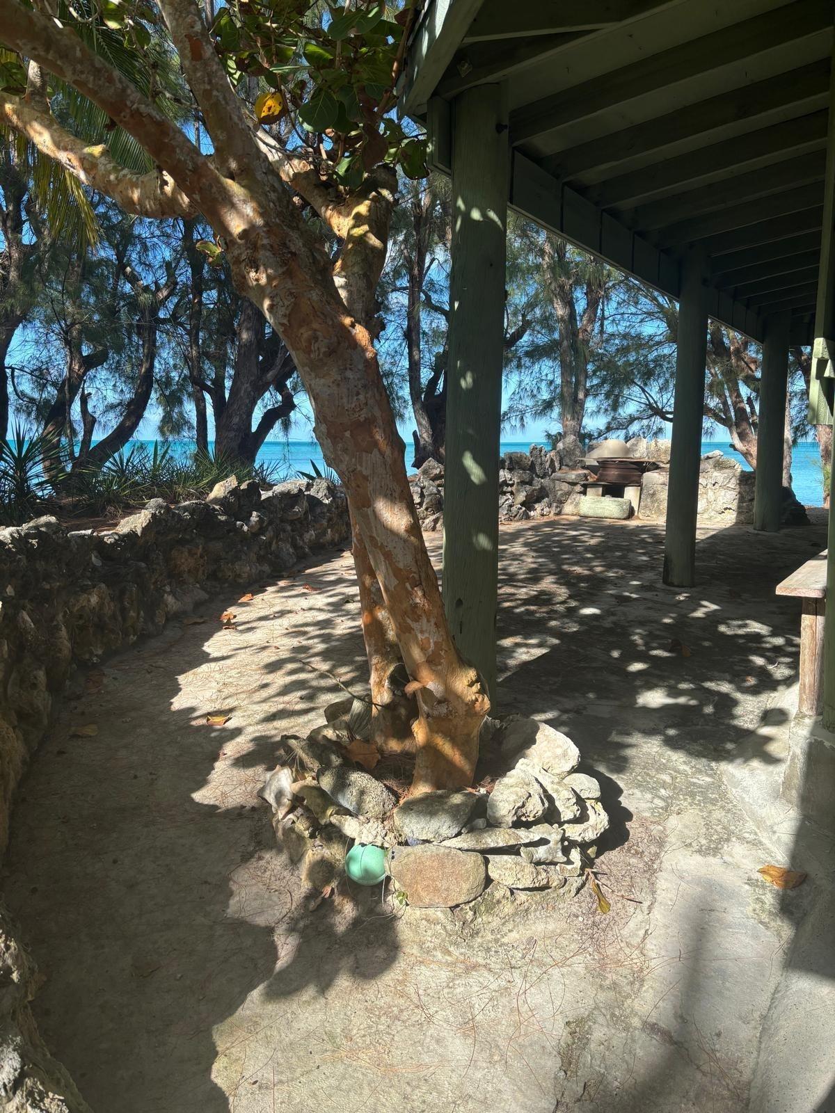 3 bedroom Residence for sale — 5 ACRES IN SANDY POINT, A in Abaco Islands, The Bahamas — photo 5