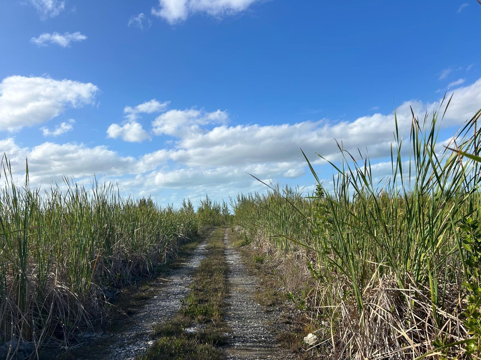 10 ACRES GRAND BAHAMA — photo 5