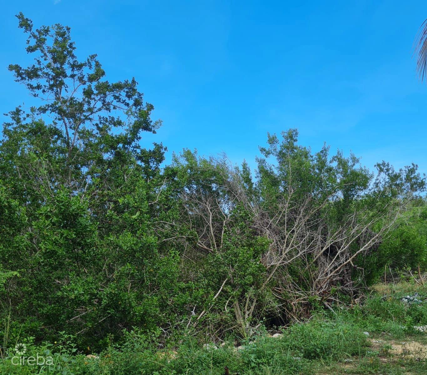 .3 Acre Lot North Side — photo 1