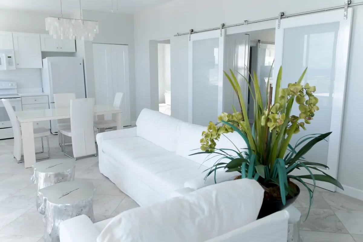 A white living room with a white sofa, an orchid in a planter and sliding barn doors