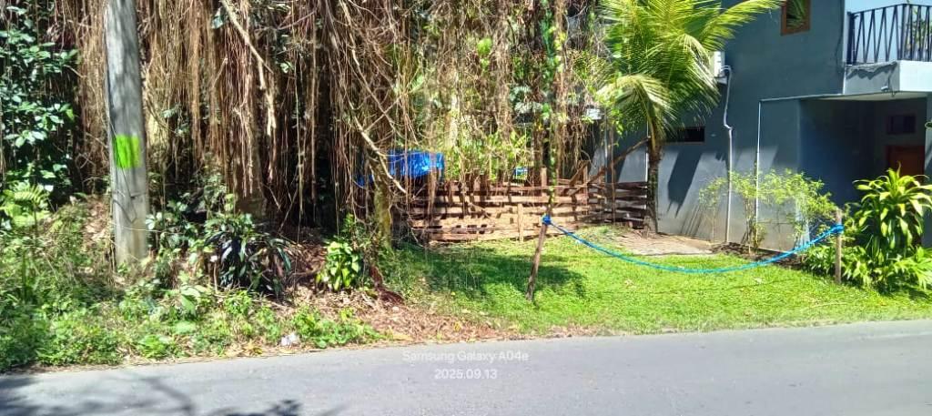 Land for Lease – Main Road Frontage in Payogan, Ubud — photo 5