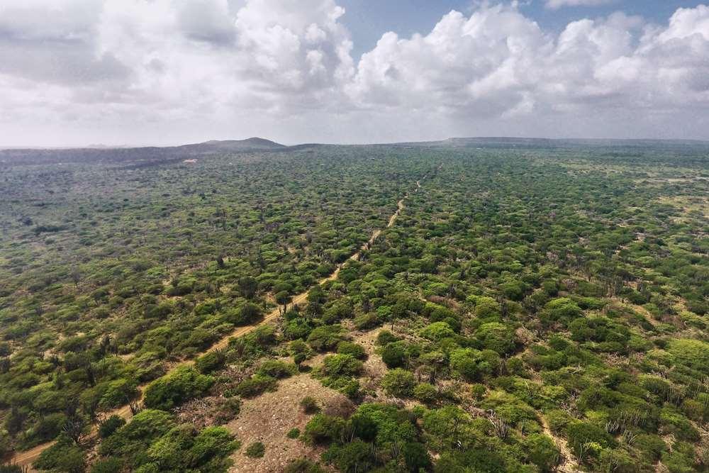 29.7 Acres of Development Land for Sale, Luga Aleha, Kunuku, Bonaire — photo 1