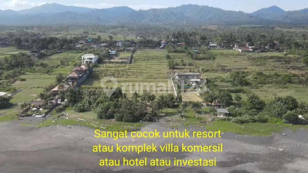 Tanah Los Pantai Medewi Surfing, Kawasan Resort Mewah — photo 5