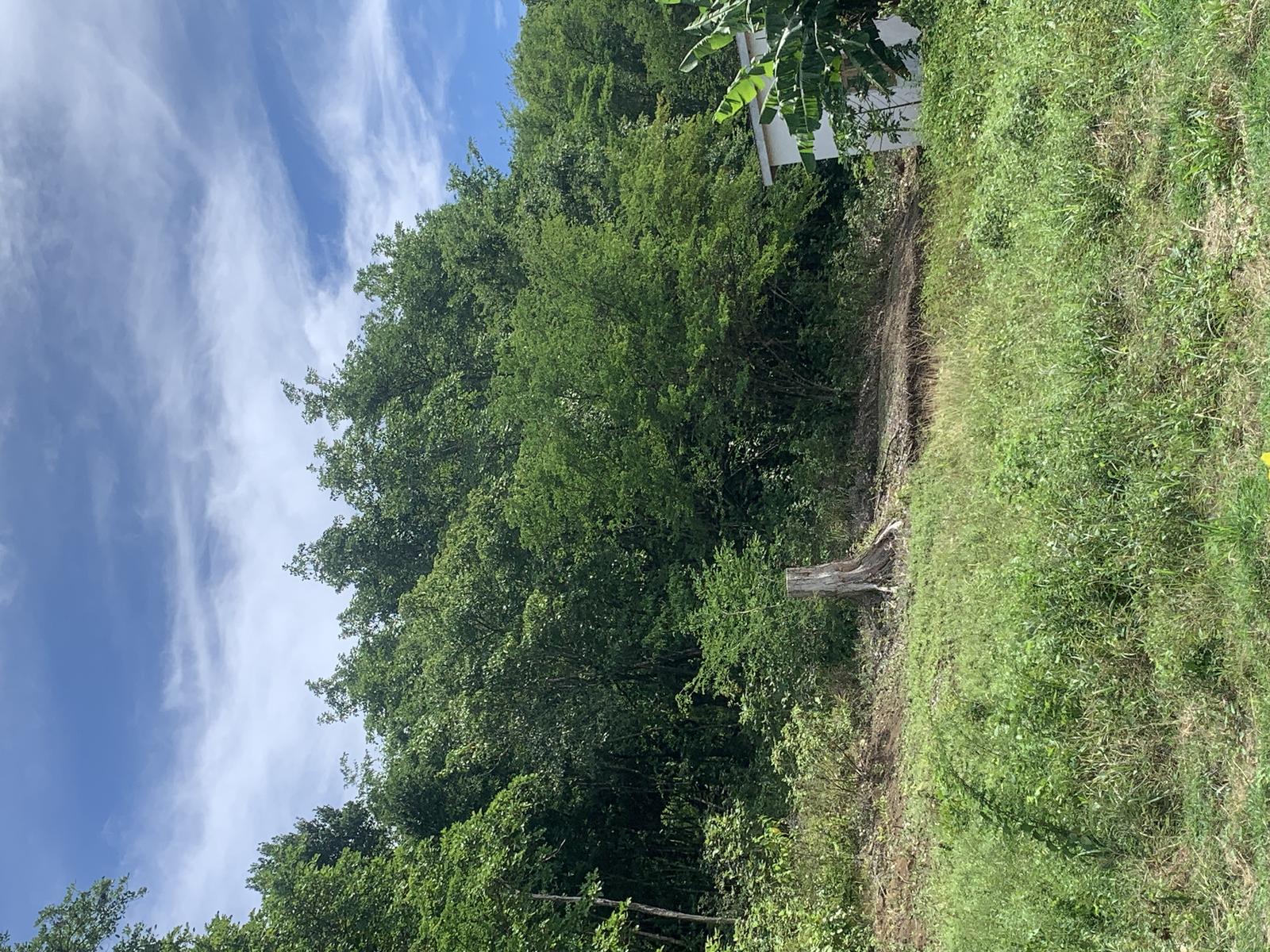 Affordable Land with Views in Growing Monchy Neighbourhood — photo 4