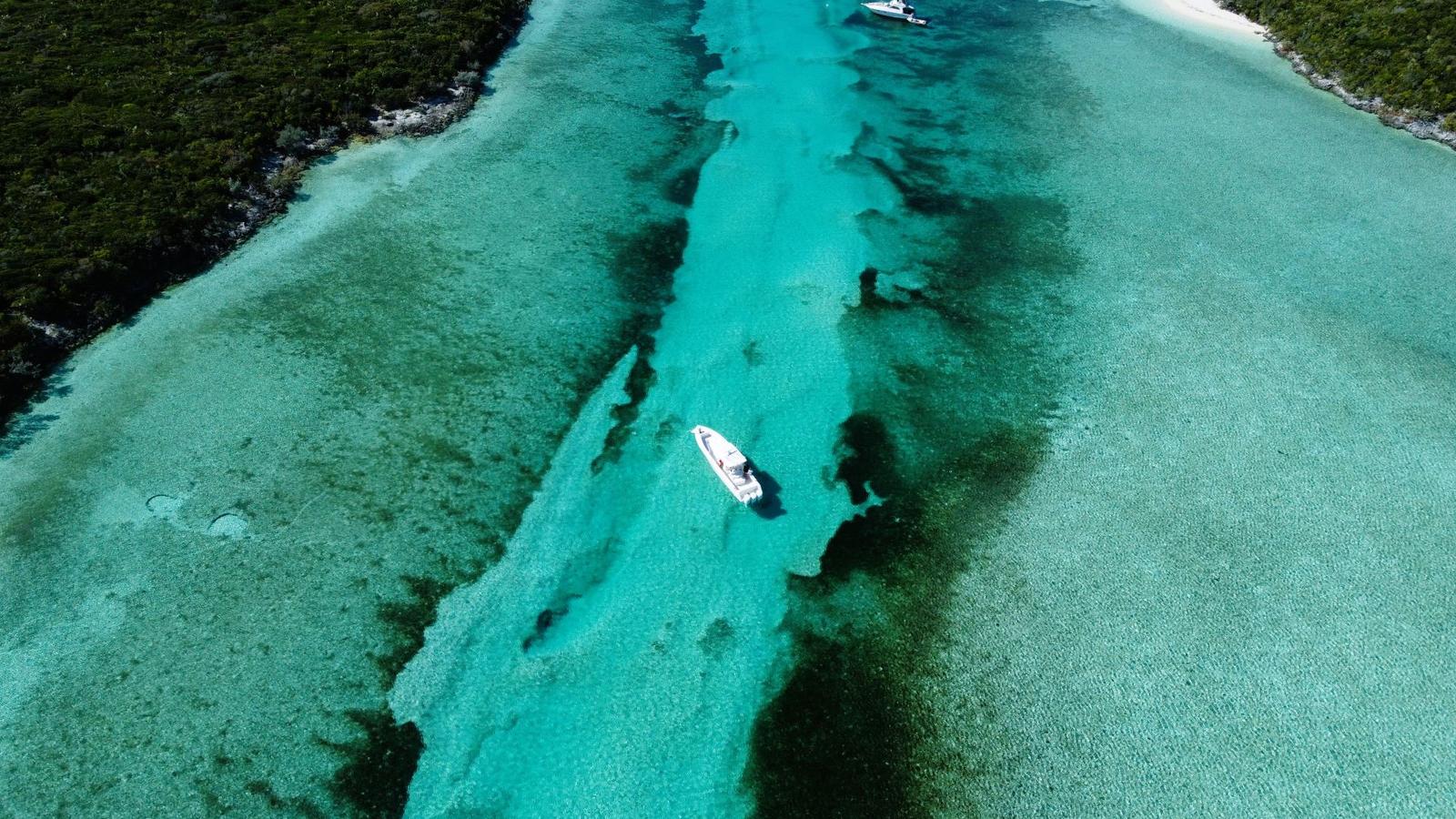Palm Cay Lot 119 0.24 Acres — photo 5