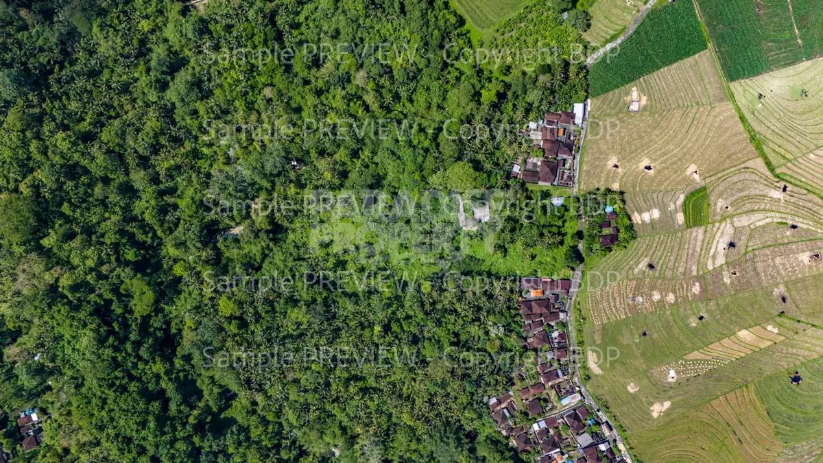 1.18 Ha Freehold Land for Sale in Tabanan with Jungle & River Views — photo 2