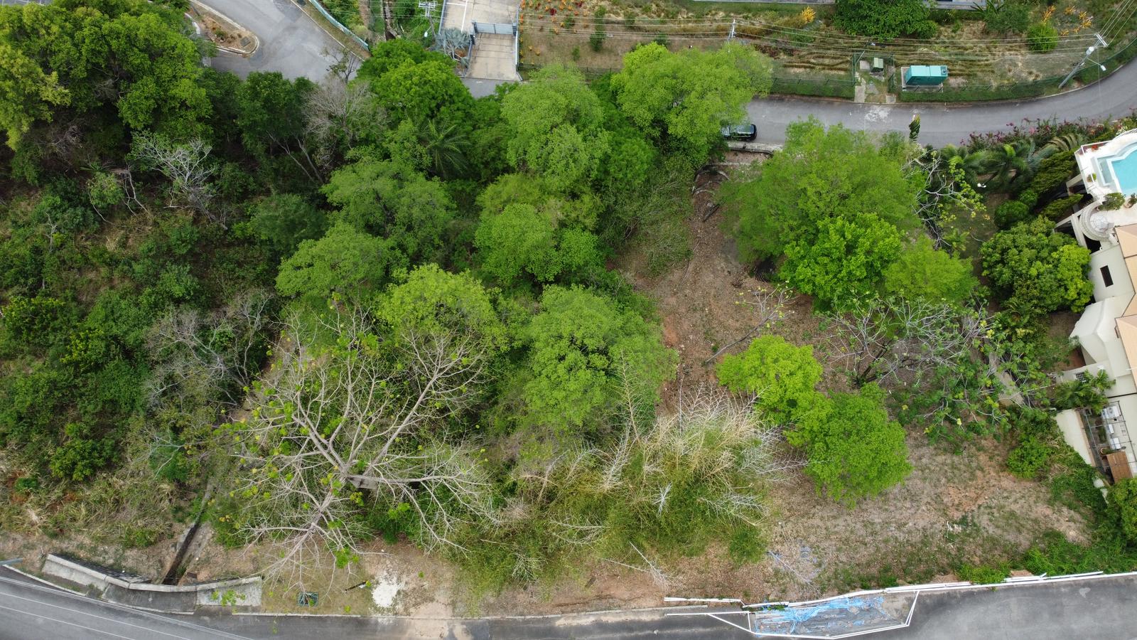 LAND FOR SALE IN GATED COMMUNITY - THE BUOYS, DHEIN'S BAY, CARENAGE — photo 4