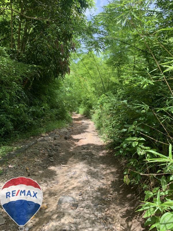 17 Acres of prime land in Choiseul - Untapped Potential — photo 3