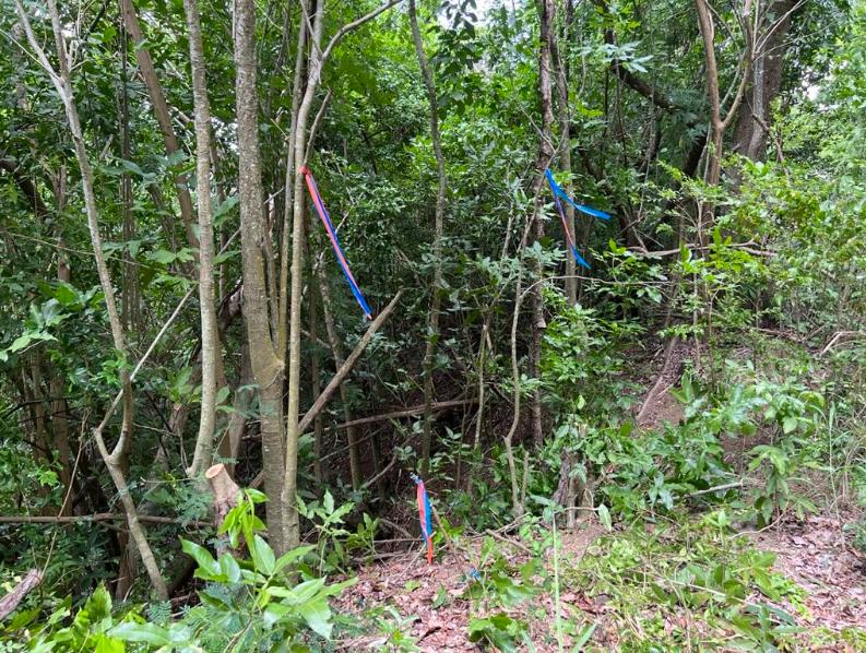 St. Croix Affordable 0.4 Acre Oceanview Lot — photo 3