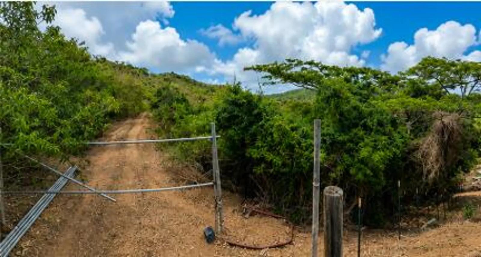 0.46 Acre Homesite Lot in Christiansted — photo 3
