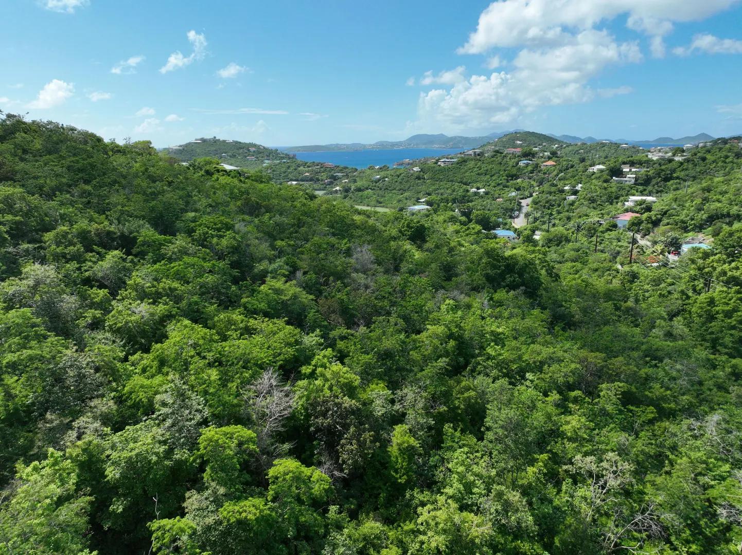 0.67 Acre Lot in Ditleff Point, St. John — photo 2