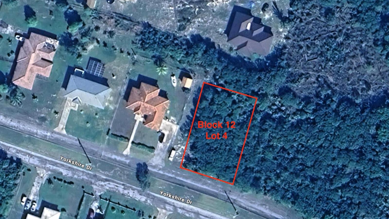Freeport 1 Acre Corner Lot — photo 5