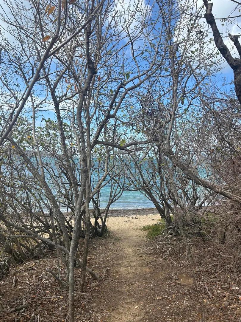 1.13 Acre Homesite Lot - St. Croix — photo 4