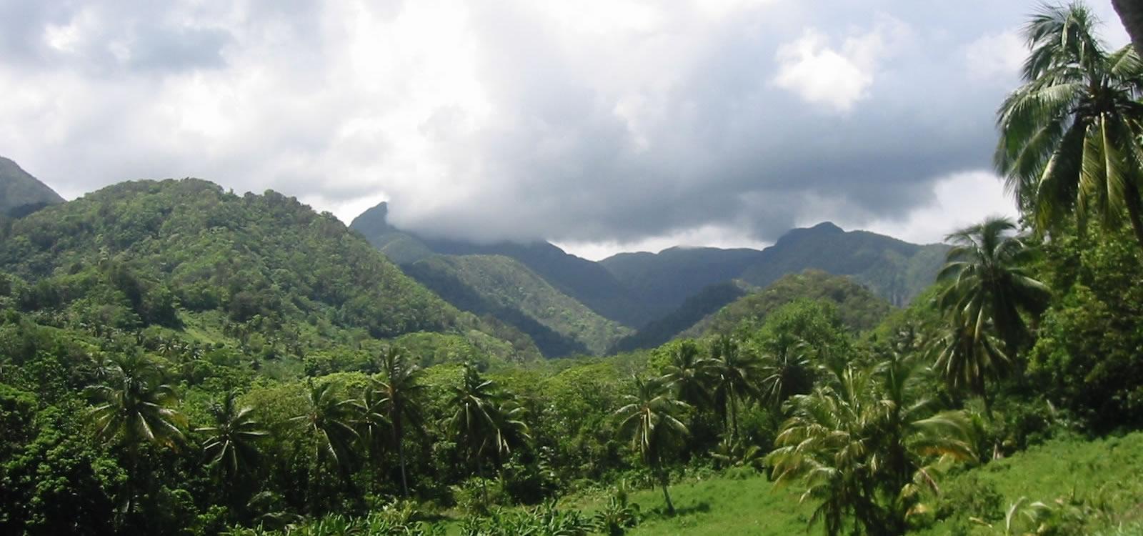 Boutique Hotel Resort for Sale on 17 Acres of Land, La Plaine, Dominica — photo 2