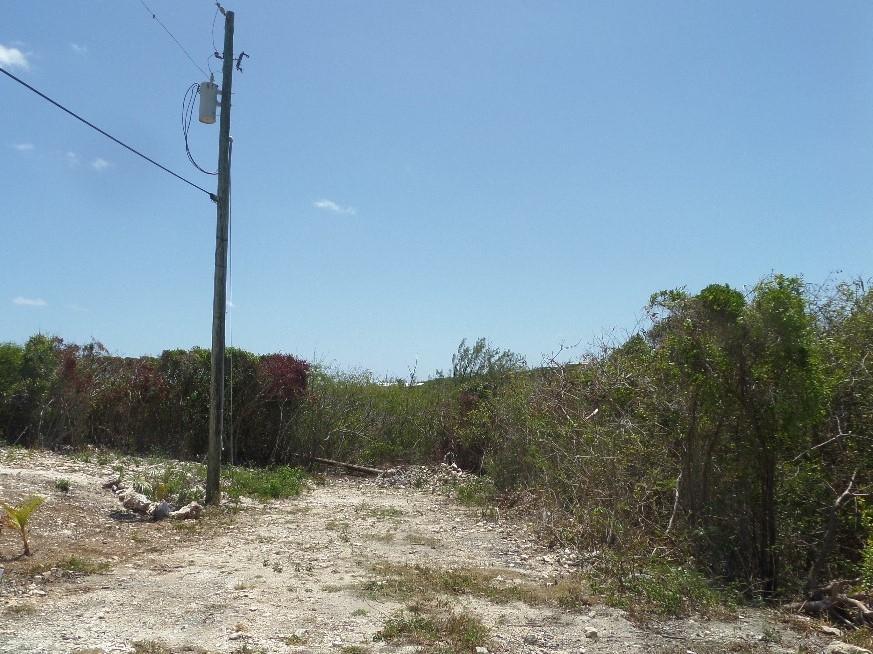 LOT# 7 STELLA MARIS — photo 2