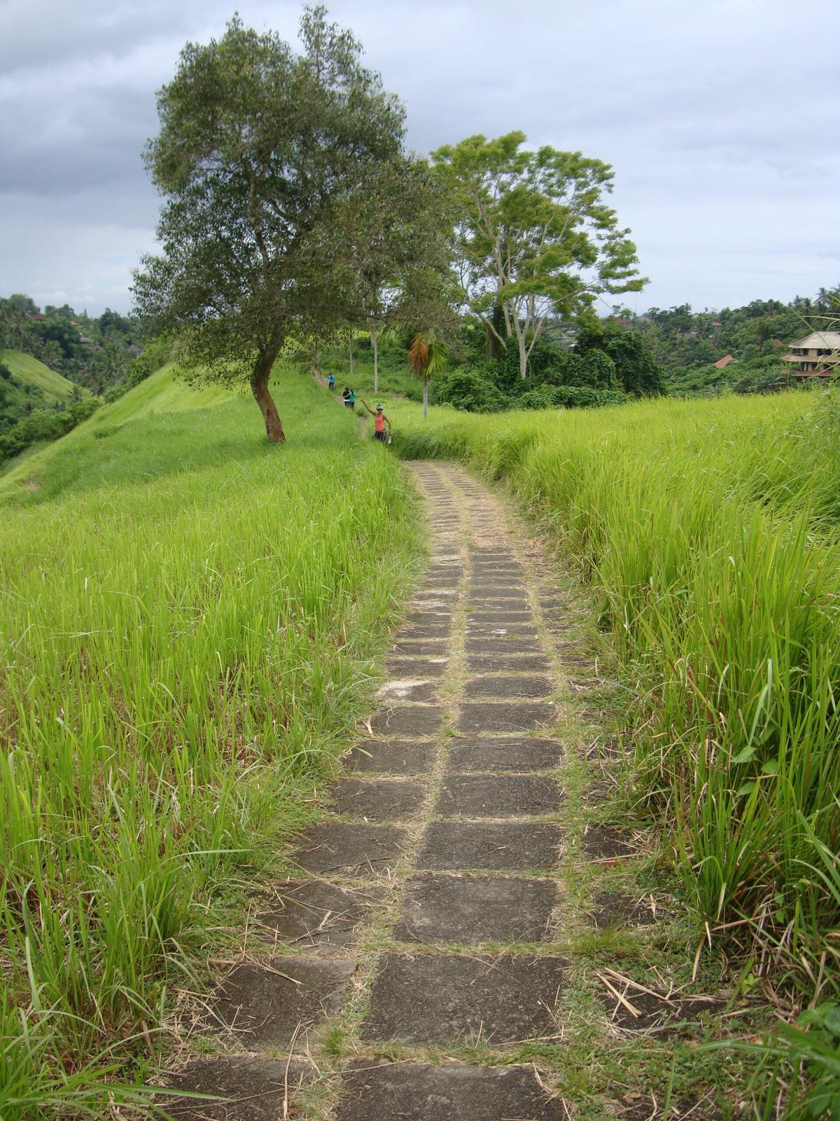 Prime Development Land for Sale Near Campuhan Ridge Walk, Ubud, Bali, Indonesia — photo 3