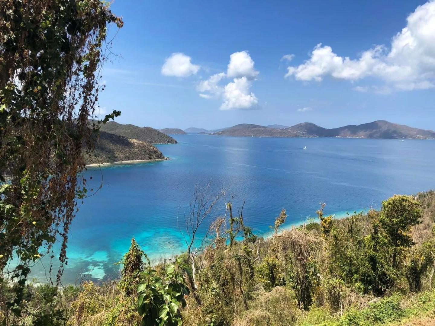 1.07 Acre Lot in Dreeket's Bay Estate — photo 4