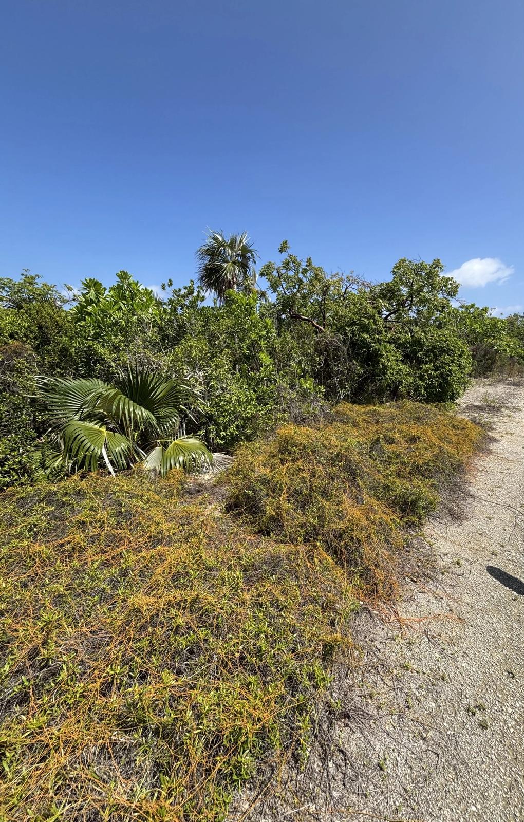 Point Of Sand Lot in the Cayman Islands — photo 3