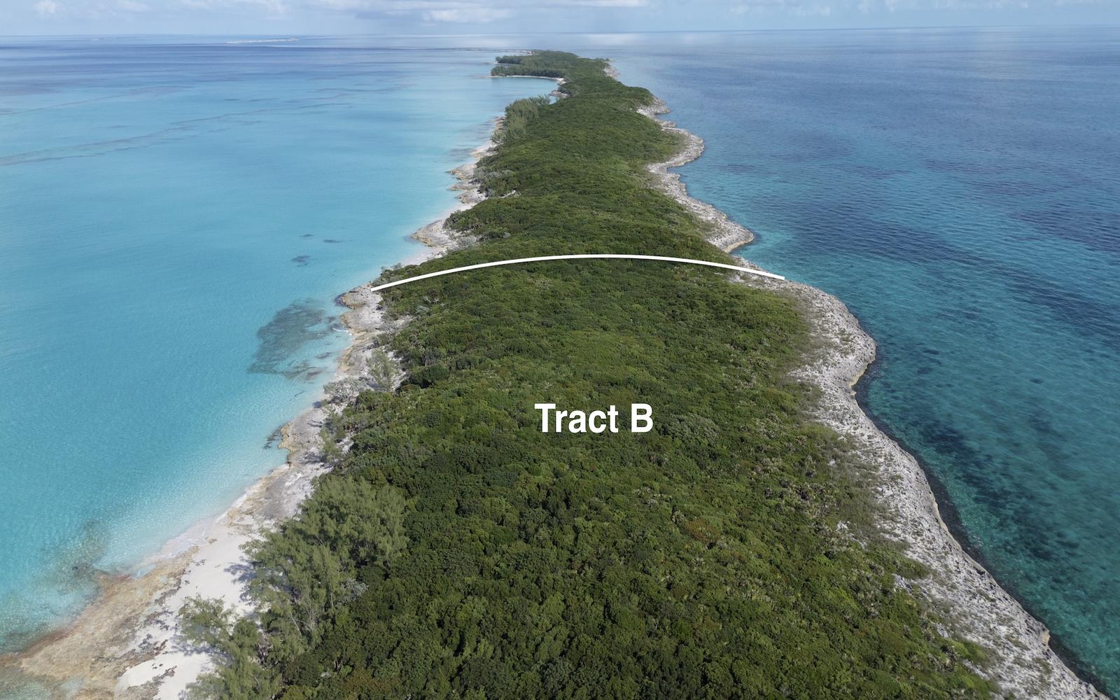 Tract B (12 acres), Rose Island, The Bahamas - MLS 64707 — photo 4