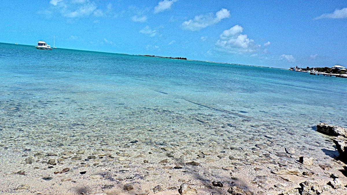 SALT POND WATERFRONT — photo 4