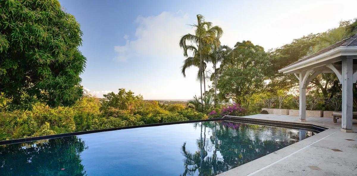 An infinity pool beside a covered pavilion, mature trees and palms around the lawn