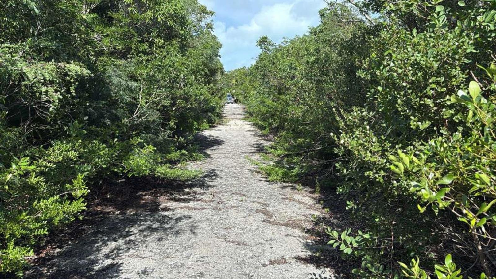 LOT 1403 OLD AIRPORT ROAD — photo 4