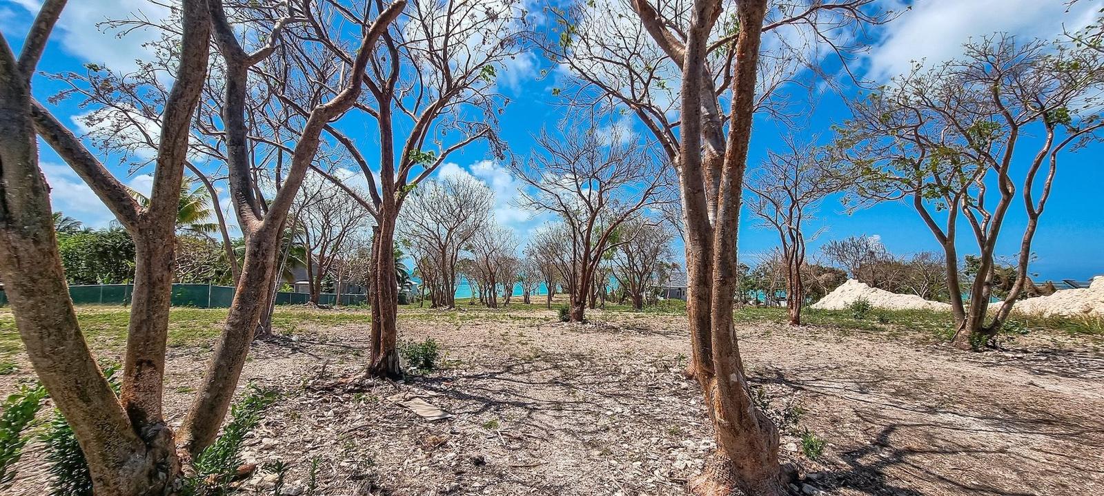 Waterfront Lot Off Vivian Pinder Road — photo 4
