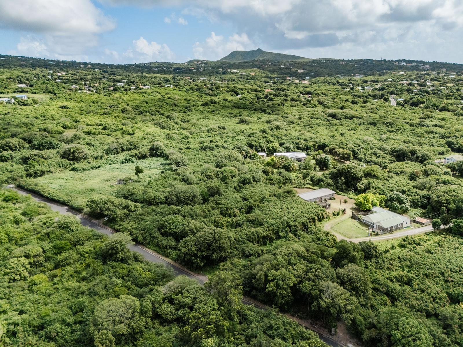 4.5 Acre Historic Estate for Sale, Saint John Figtree, Nevis — photo 3
