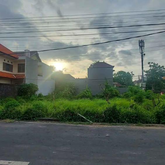 Studio house in Denpasar — photo 1