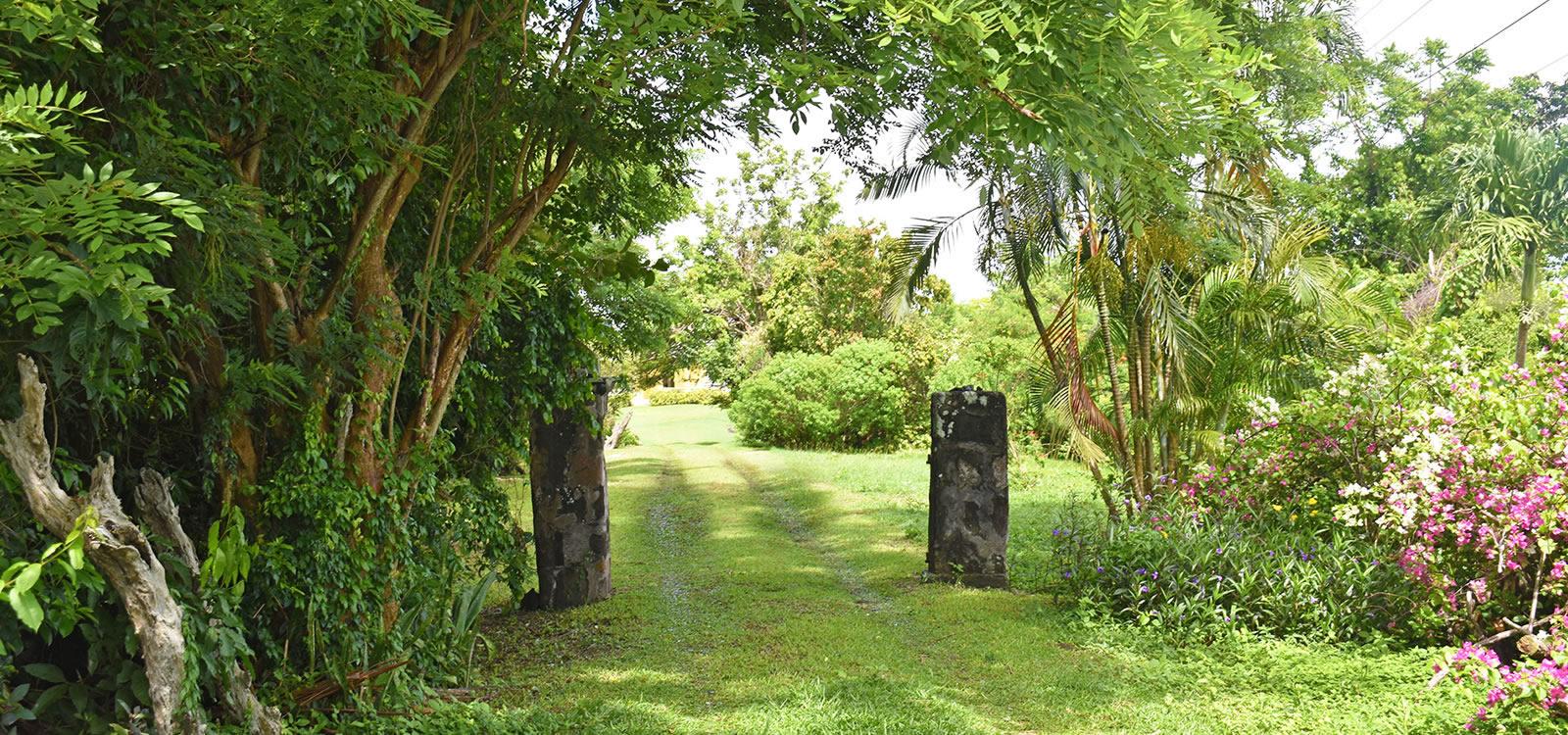 Historic Great House for Sale, Morne Jaloux, Grenada — photo 4