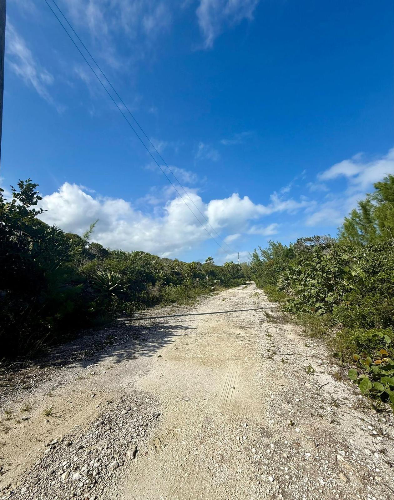 BONITA AVENUE — photo 2