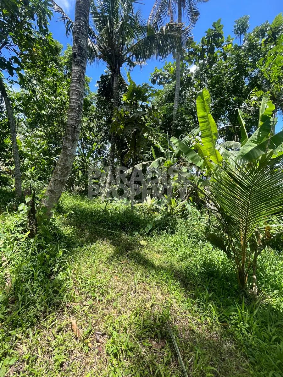 1.18 Ha Freehold Land for Sale in Tabanan with Jungle & River Views — photo 5